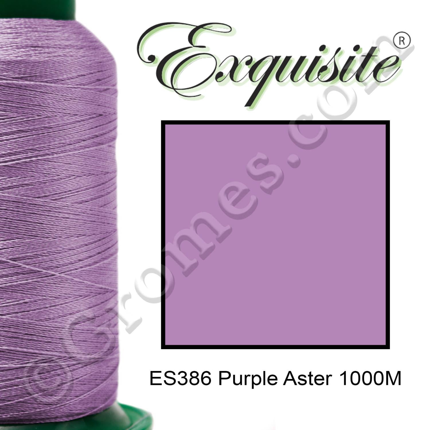 386 PURPLE ASTER 1000M