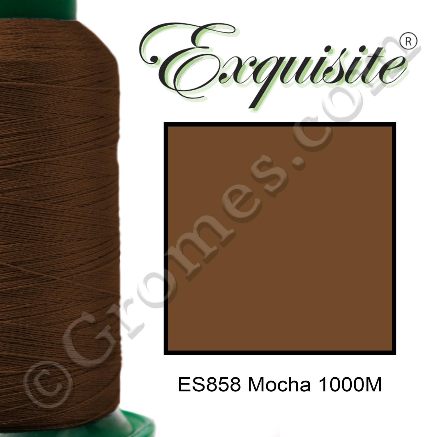 858 MOCHA 1000M